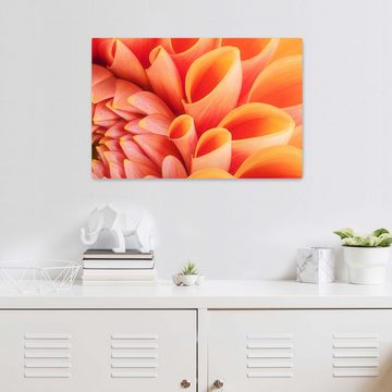 wandmotiv24 Leinwandbild Blume Blüte orange Chrysantheme, Blumen und Pflanzen (1 St), Wandbild, Wanddeko, Leinwandbilder in versch. Größen