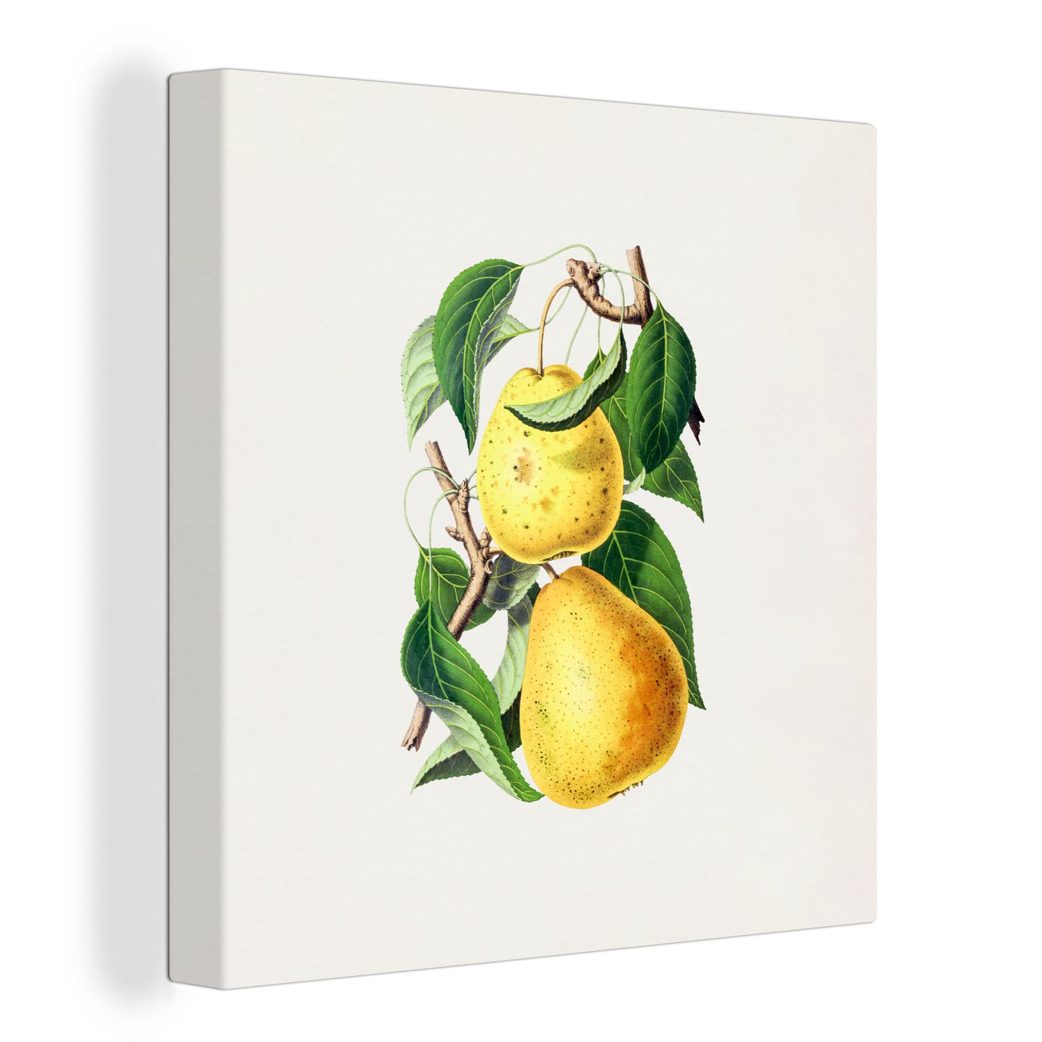 OneMillionCanvasses® Leinwandbild Birnen - Blätter - Lebensmittel, (1 St), Leinwand Bilder für Wohnzimmer Schlafzimmer