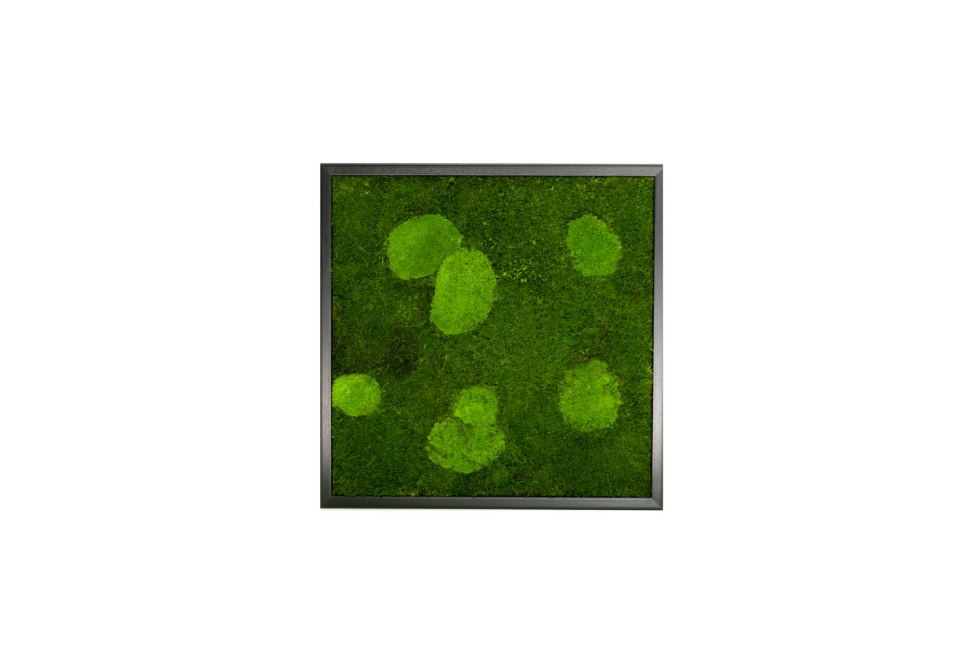 Moos-Design Bilderrahmen Moos Bild Forest Design günstig online kaufen