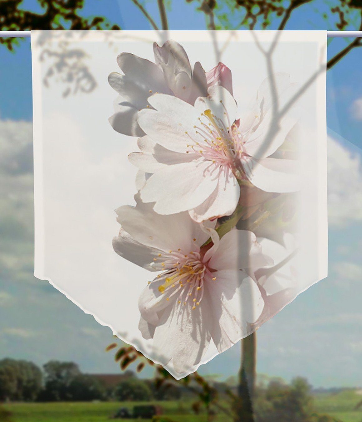 gardinen-for-life Scheibengardine Scheibenhänger spitz Mandeltraum, Voile günstig online kaufen