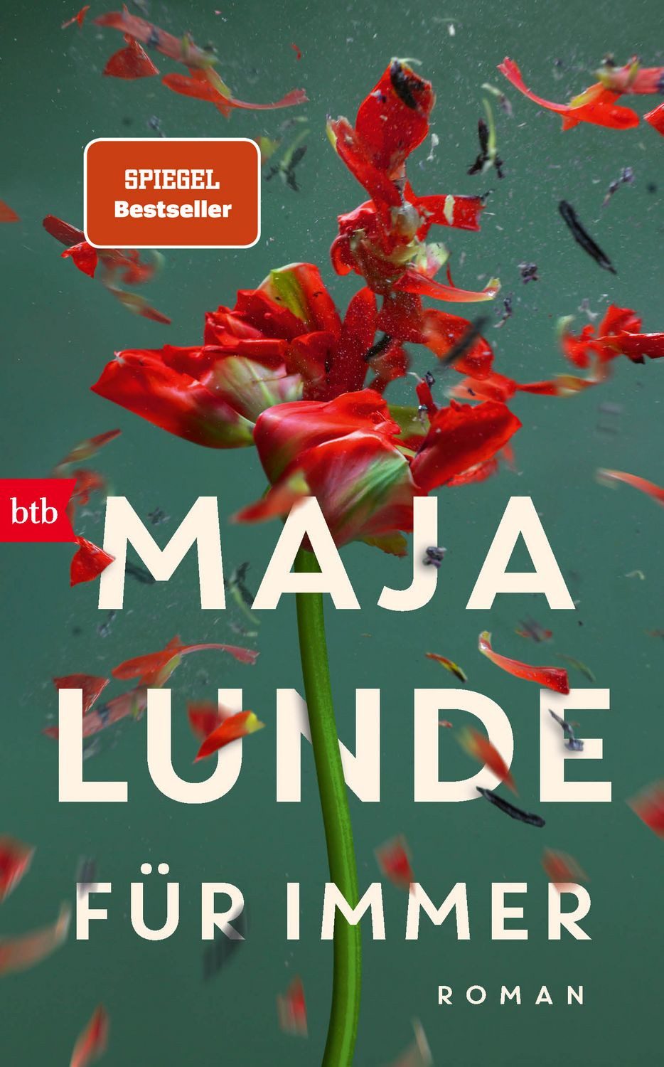 Belletristik Für immer Roman Maja Lunde