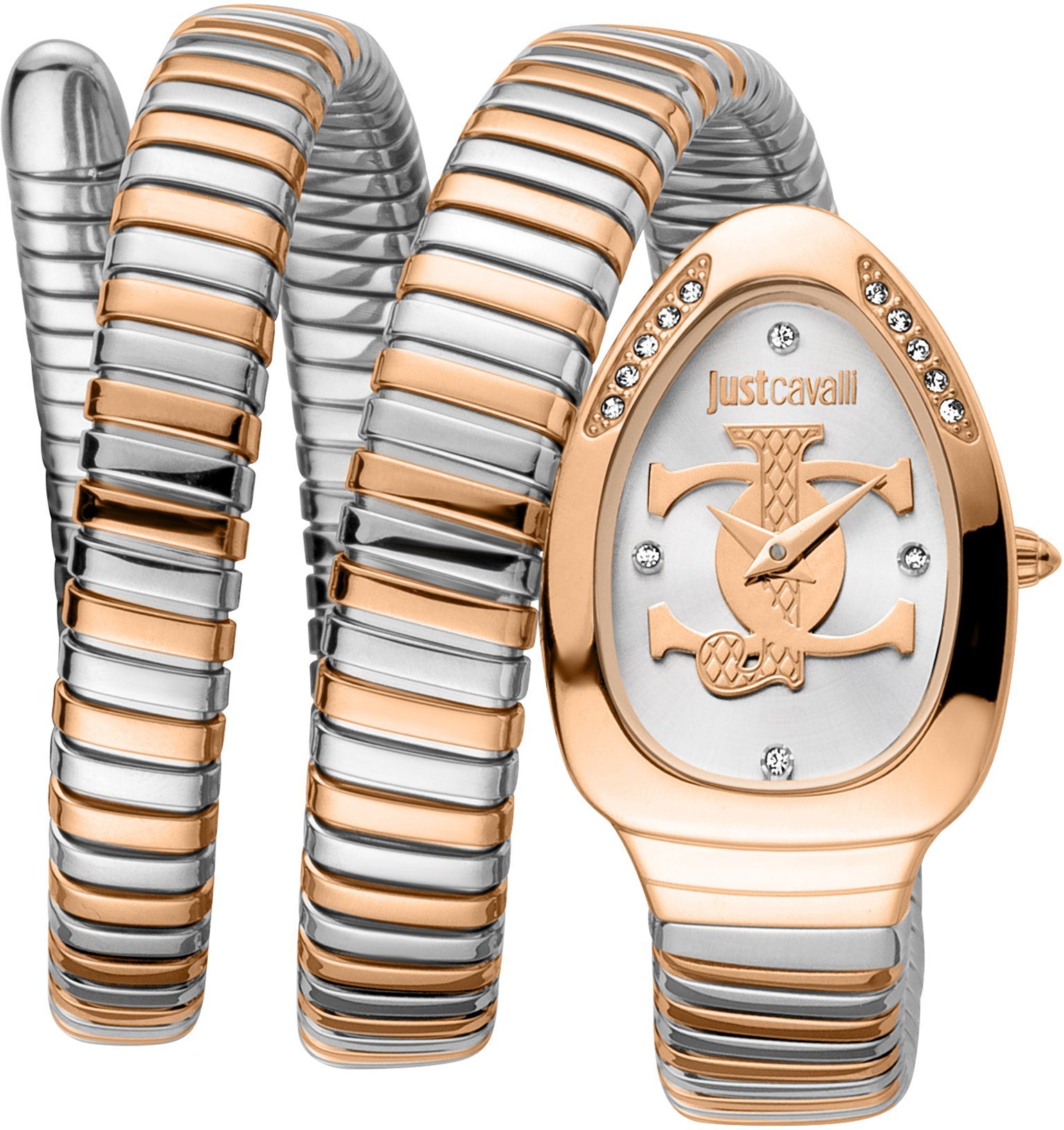 Just Cavalli Glam Evo 5 Silver Dial Silver Steel Strap Watch for Women - JC1L228M0015 main image 0