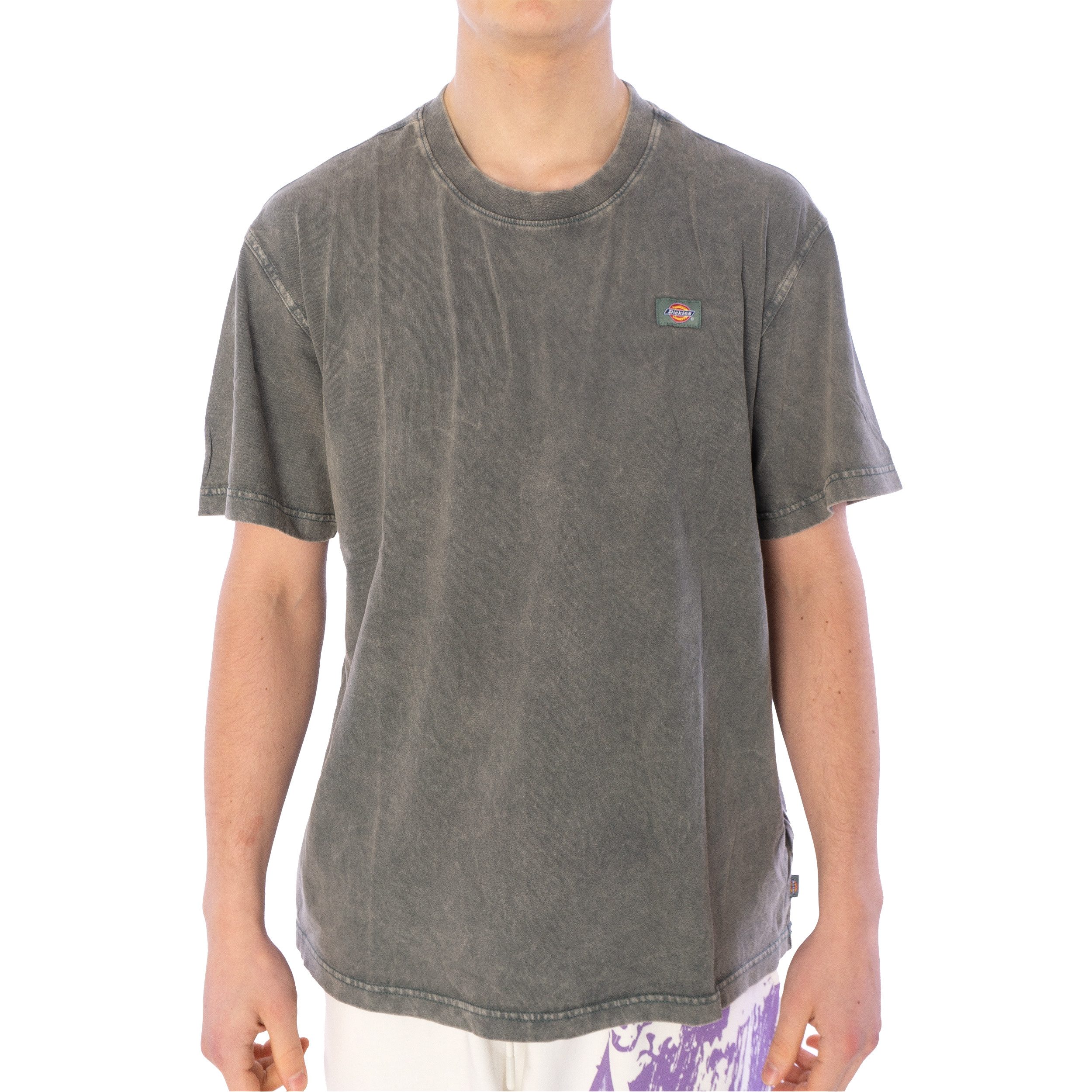 Dickies T-Shirt T-Shirt Dickies Newington, G XL, F olive mel.