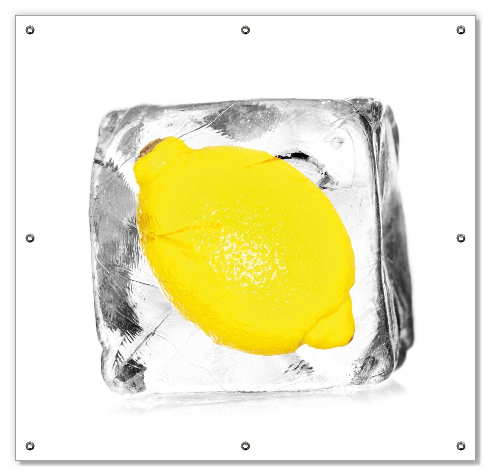 Eiskaltes Wallario, wiederablösbar blickdicht, Saugnäpfen, - Eiswürfel Obst, mit in Zitrone und Sonnenschutz wiederverwendbar