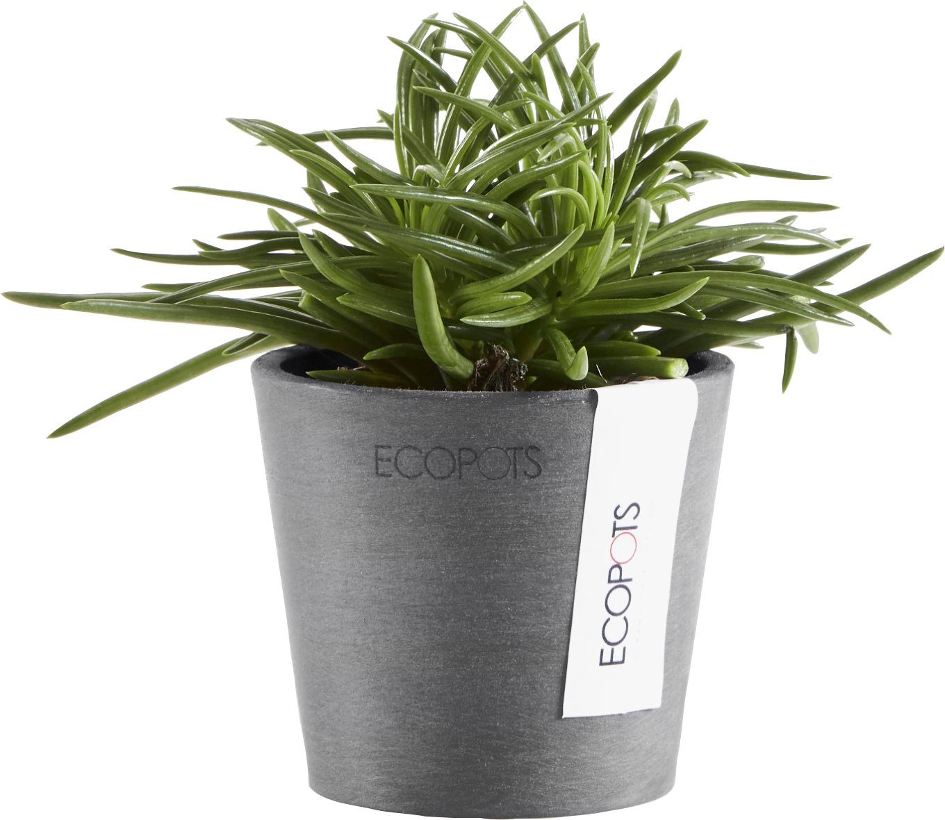 ECOPOTS 8x8x7 AMSTERDAM BxTxH: cm Grey, Mini Blumentopf