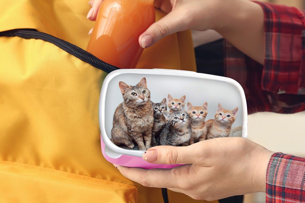 MuchoWow Lunchbox Katze Mädchen, rosa Kunststoff - Erwachsene, für Kätzchen (2-tlg), Brotdose Brotbox Kinder, Snackbox, Kunststoff, - Fell
