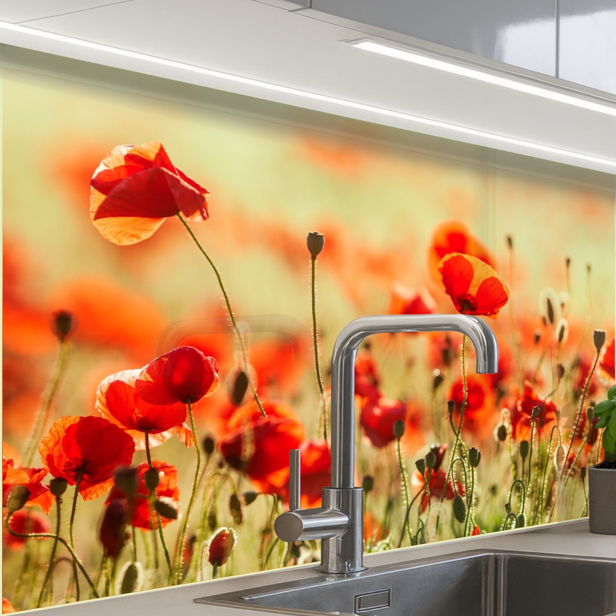 KitchenYeah Küchenrückwand Muster selbstklebend (keine Folie) Mohnblumen - Blumen - Rot - Blumenf, (1-tlg), Spritzschutz, Küche, Rückwand, Küchenwand, Küchenfront, 30x20 cm