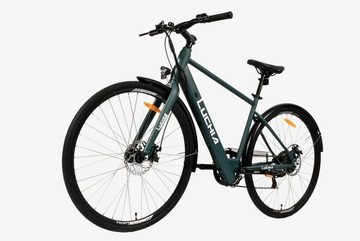DOTMALL E-Bike Trekkingbike,(1 tlg), mit 6-Gang-Shimano, 250W,LUCHIA