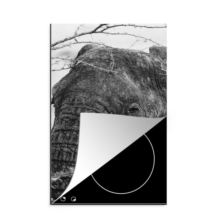 MuchoWow Herdblende-/Abdeckplatte Nahaufnahme eines afrikanischen Elefanten in Schwarz-Weiß Vinyl (1 tlg) Küchen Dekoration für Induktionsherd Induktionskochfeld