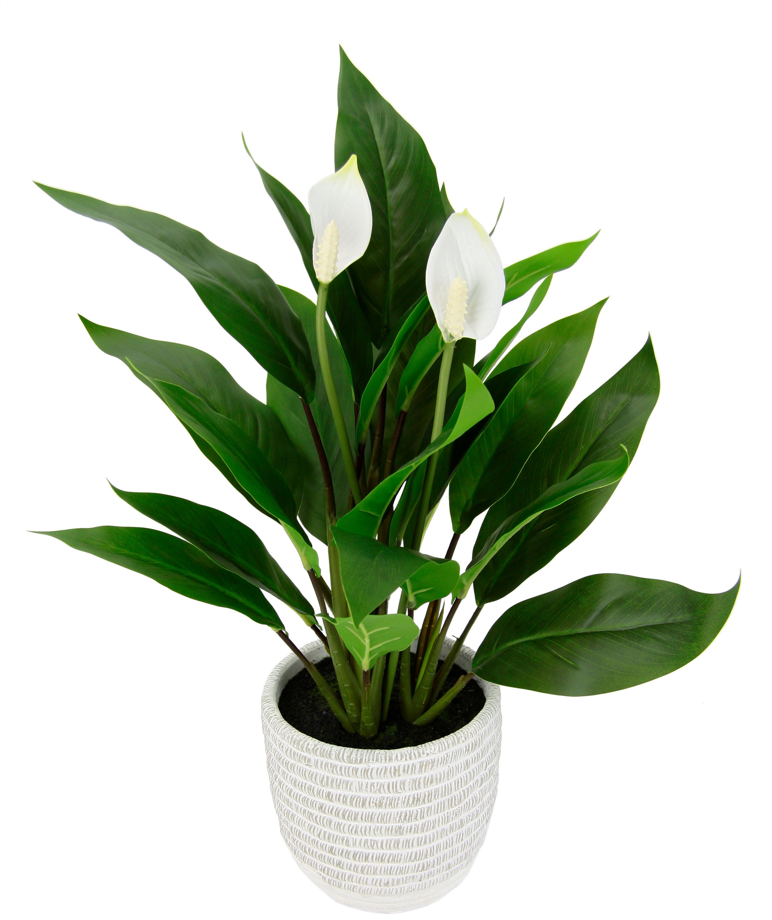 Kunstpflanze Spathiphyllum, I.GE.A., Höhe 48 cm, im Topf Anthurie Calla Flamingoblume exotische Pflanze weiße Blüten