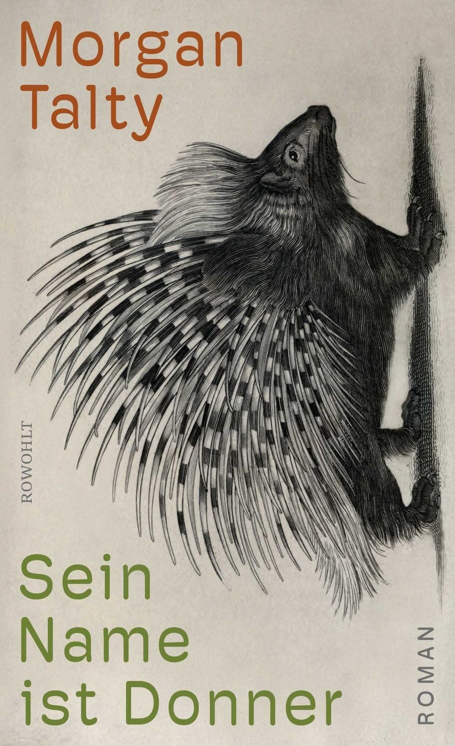 Sein Name ist Donner / Morgan Talty