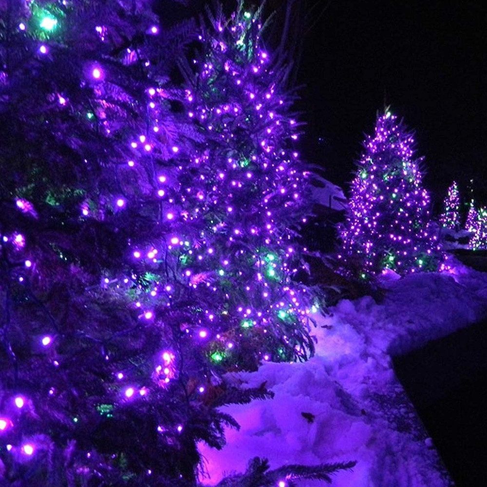 Rosnek LED-Lichterkette 10-100M, 8 Modi, für Weihnachten Party Urlaub, Hochzeit Deko; Blau Rot Grün Rosa Lila