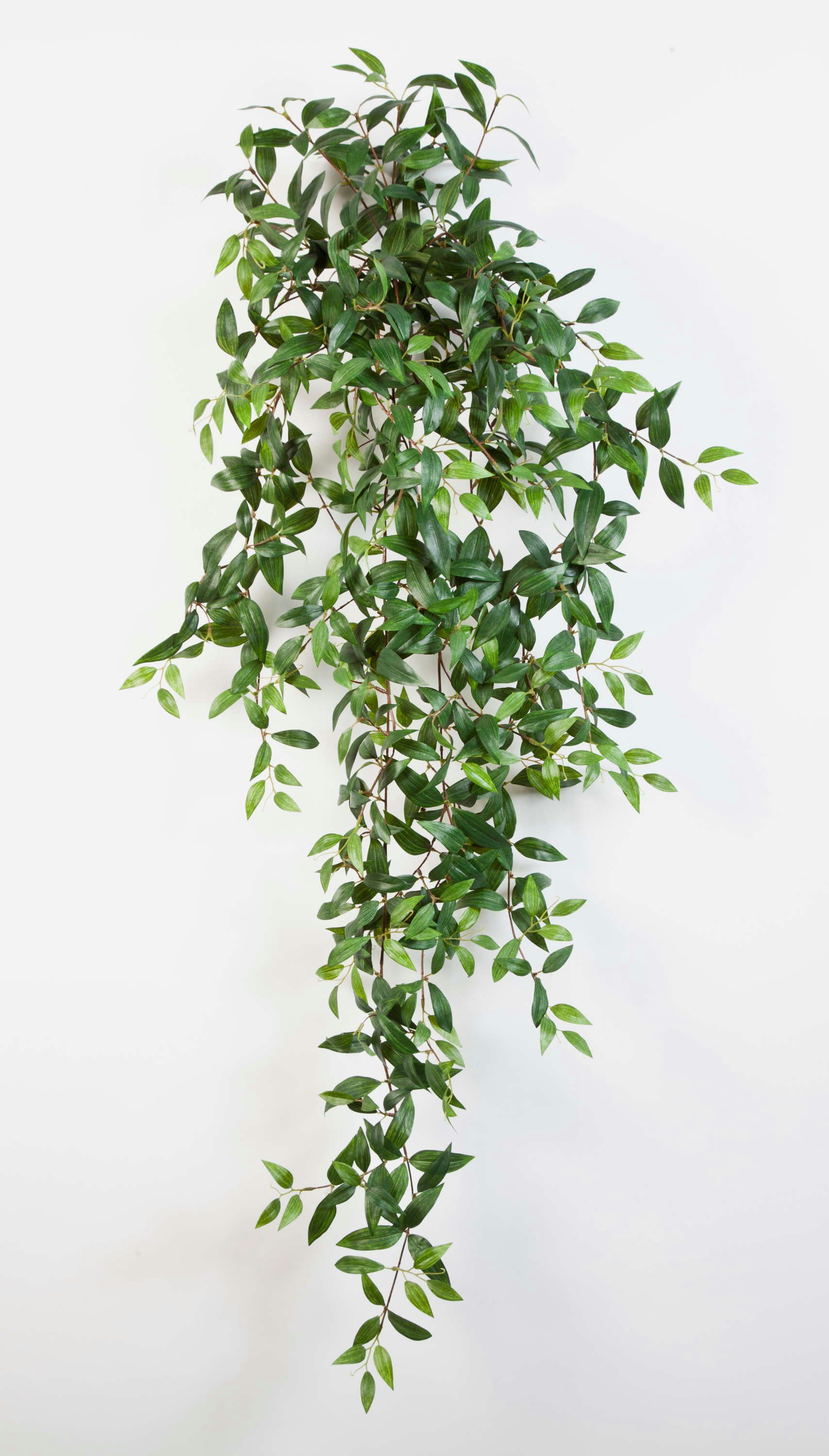 Künstliche Zimmerpflanze Deko Tradescantia Fluminensis, 730 Blätter, grün, 125cm - Kunstpflanze Tradescantia (Tradescantia fluminensis), artplants, Höhe 125.0 cm