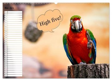 CALVENDO Wandkalender Wenn Tiere Sprechen könnten! Der lustige Sprüche Geburtstagskalender (Premium, hochwertiger DIN A2 Wandkalender 2023, Kunstdruck in Hochglanz)