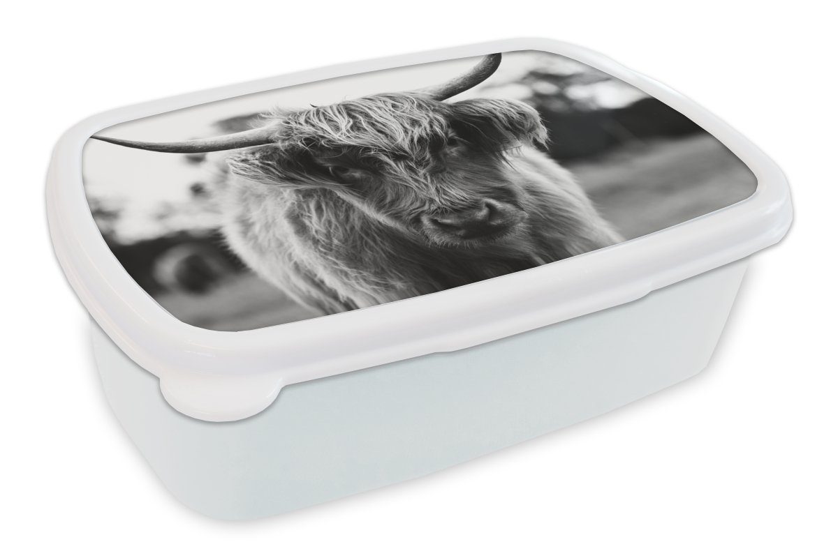 MuchoWow Lunchbox Schottischer Highlander - Kuh - Gras - Tiere - Natur, Kunststoff, (2-tlg), Brotbox für Kinder und Erwachsene, Brotdose, für Jungs und Mädchen weiß