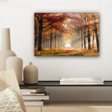 OneMillionCanvasses® Leinwandbild Herbst - Wald - Baum, (1 St), Wandbild Leinwandbilder, Aufhängefertig, Wanddeko, 30x20 cm