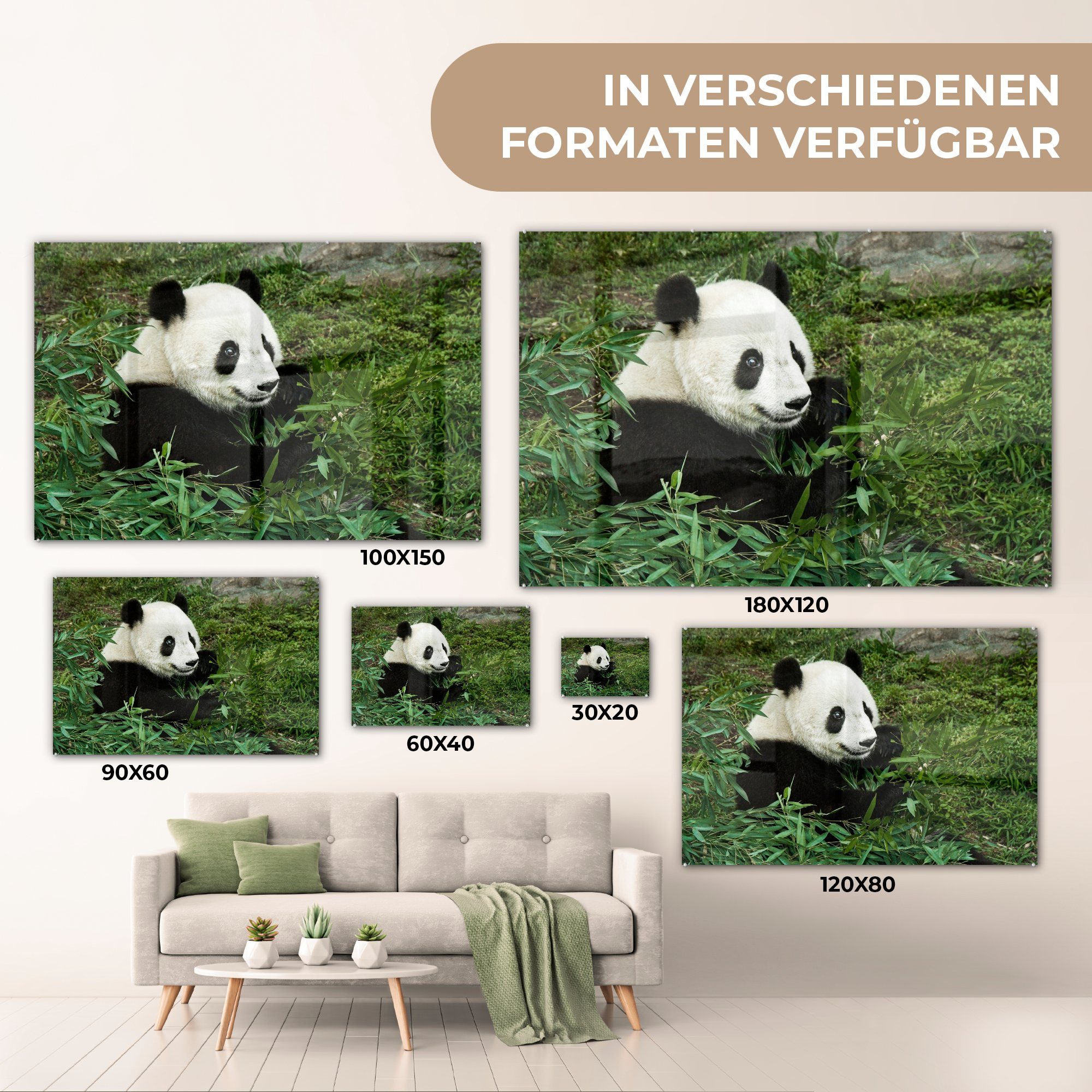 Panda Acrylglasbilder Pflanze, - Wohnzimmer St), MuchoWow & Bambus - Acrylglasbild (1 Schlafzimmer