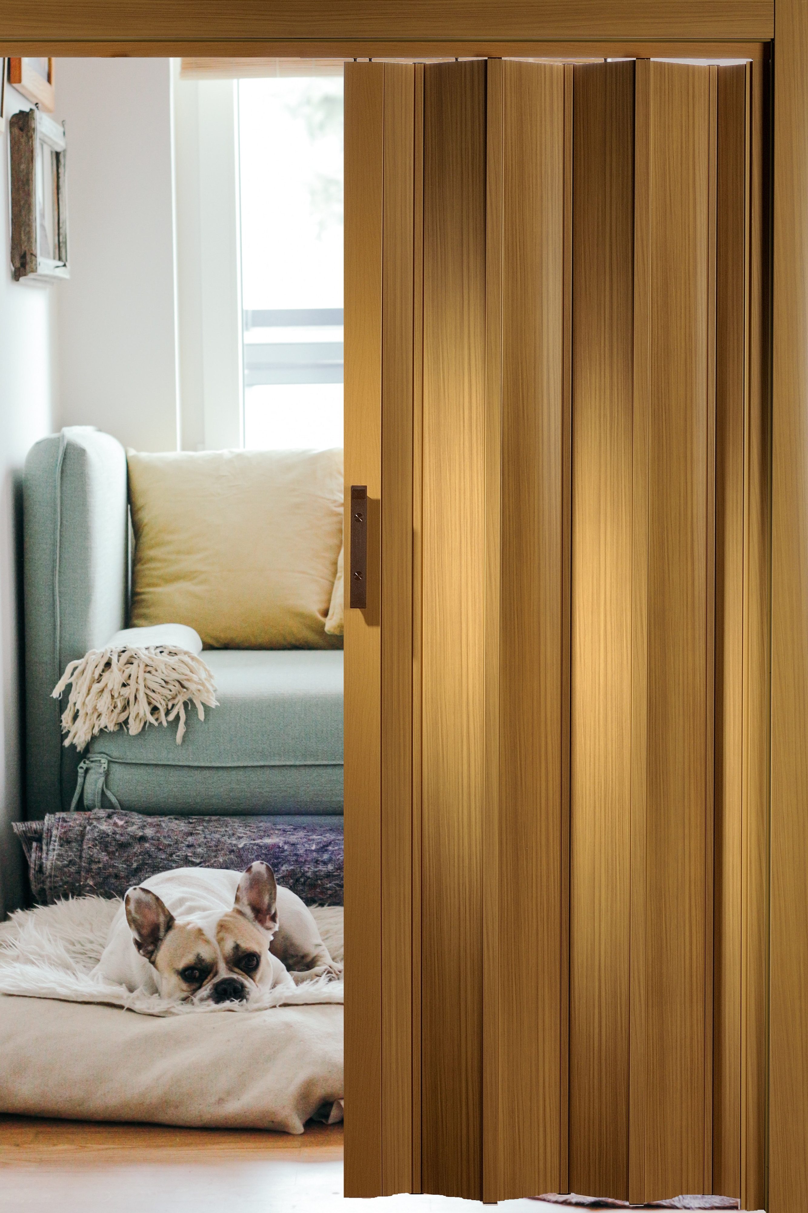 Forte Falttür Falttür Schiebetür Nischentür kürzbar B 88,5 x H 202 cm Buche (1 Stück), abwaschbar und für Naßräume geeignet