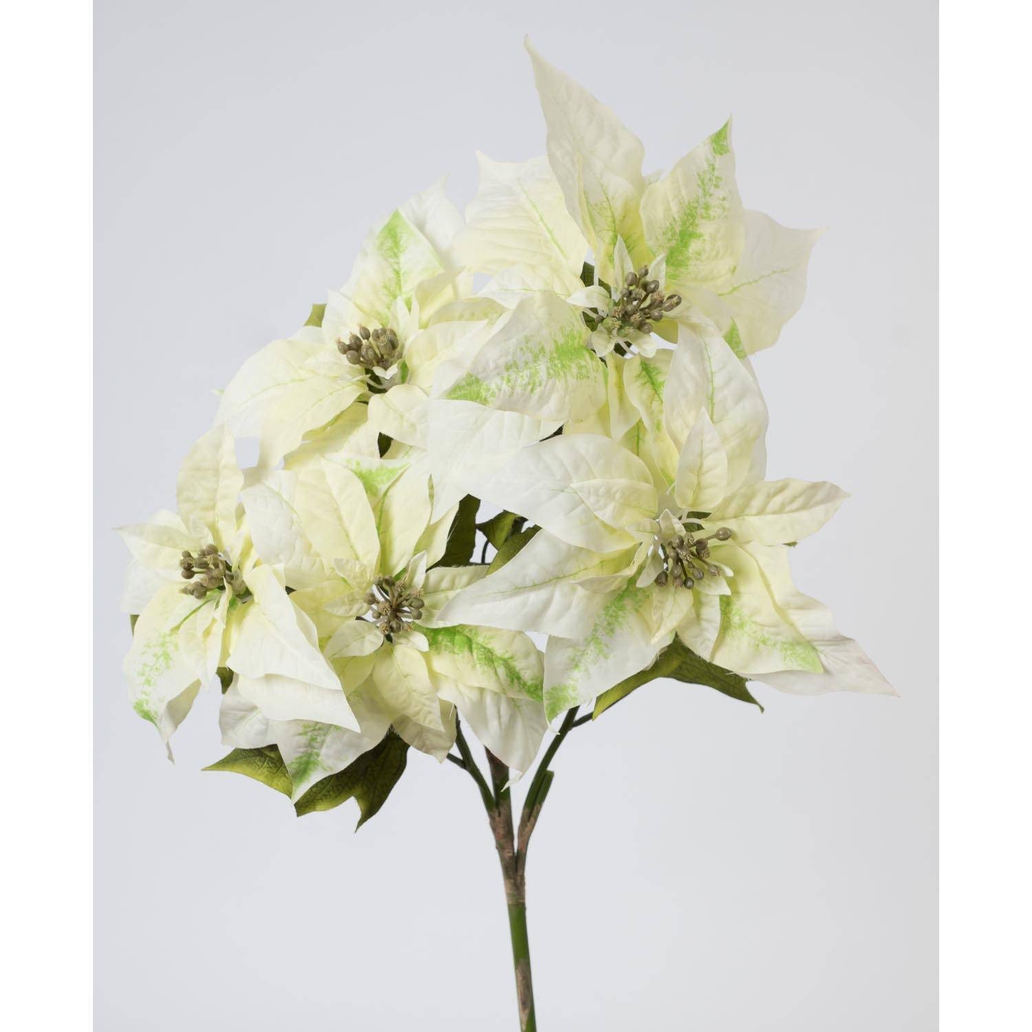 Kunstblume Deko Weihnachtsstern Busch, 5 Blüten, cremefarben, 60cm Weihnachtsstern, artplants, Höhe 60.0 cm