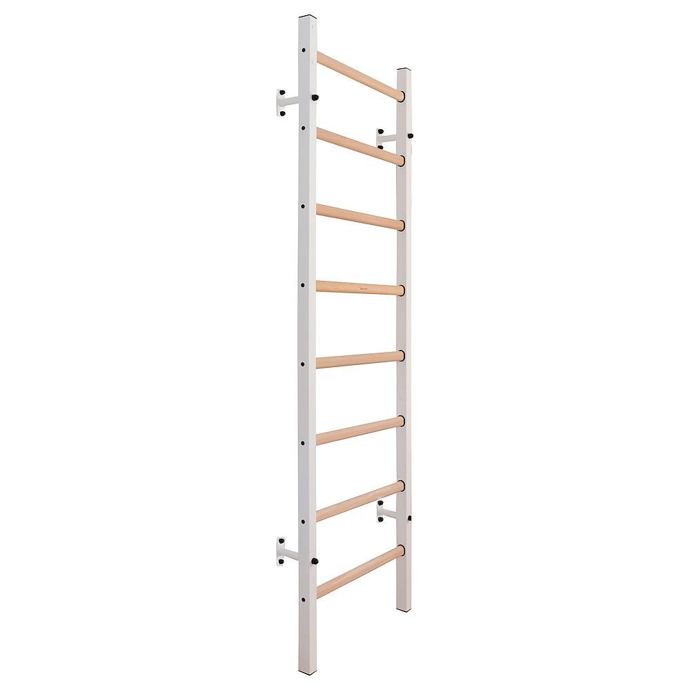 BenchK Sprossenwand Sprossenwand Fitness-System 200, Ideal für Fitnessstudios, Praxen und den Freizeitbereich