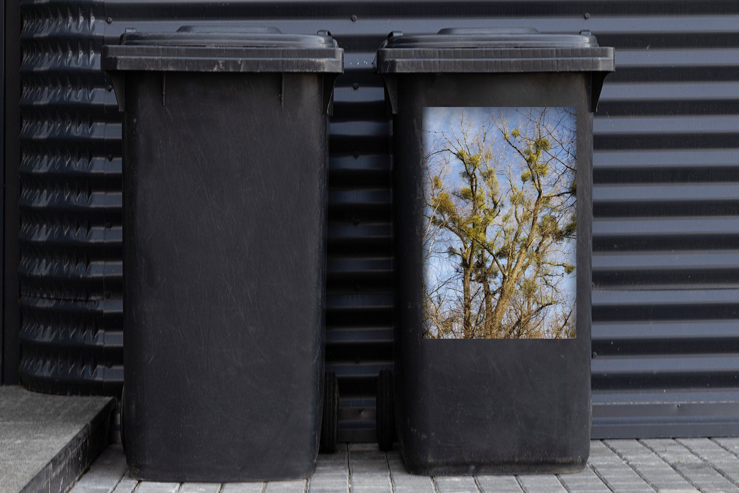Abfalbehälter riesige Eine Wandsticker mit Container, Mülleimer-aufkleber, Ästen Sticker, Weide in (1 Luft Mülltonne, MuchoWow der St), schießende