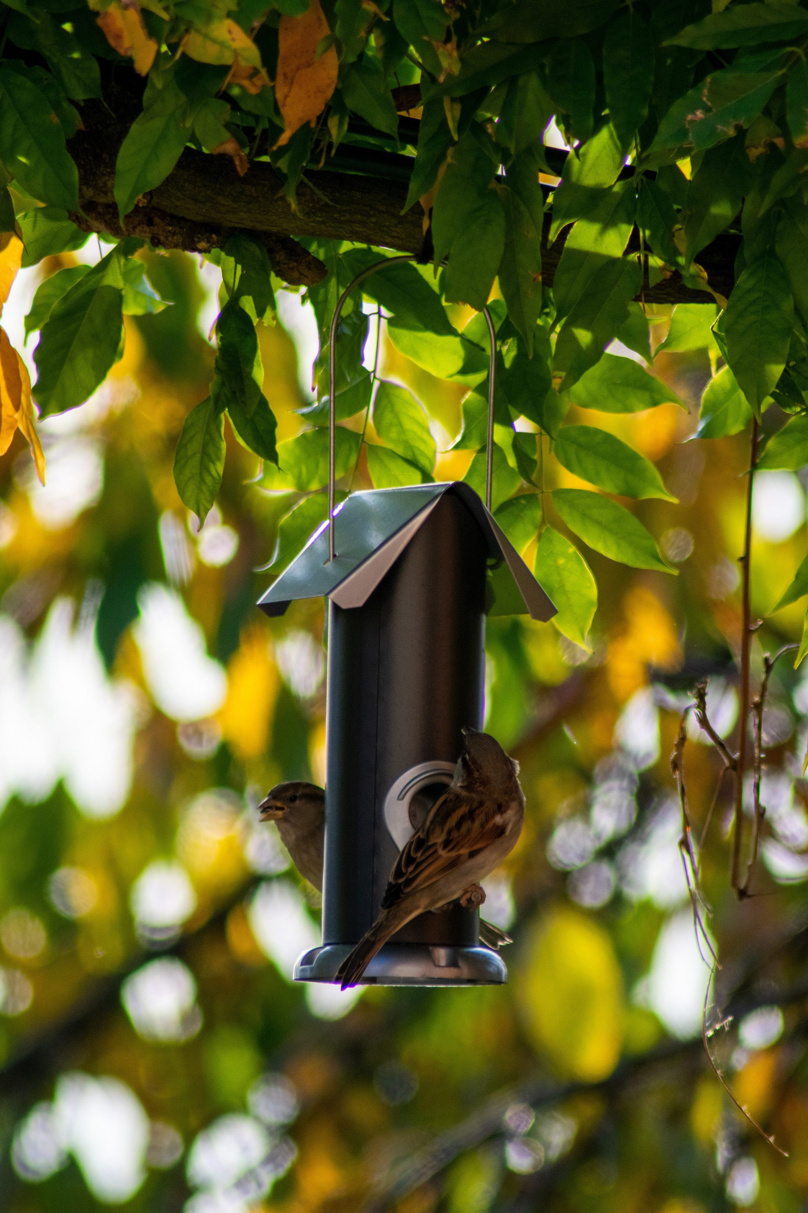 dobar Futterhaus Robuste Futtersäule aus Metall, Schwarz/Silber