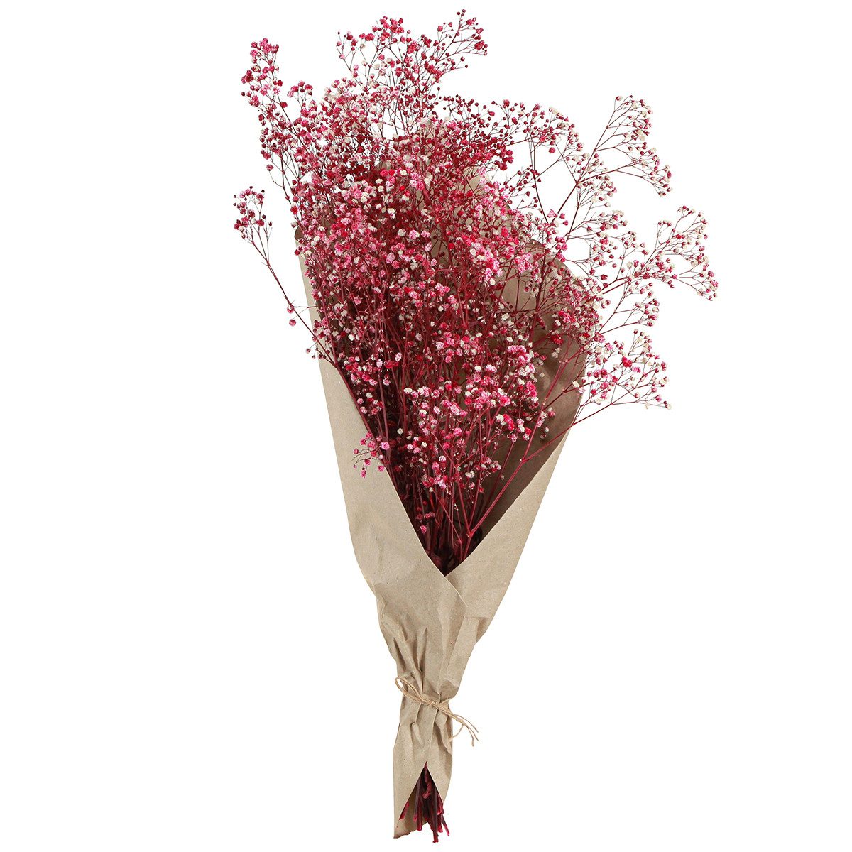 Trockenblume Rispiges Gipskraut Schleierkraut Berry Deko 50cm 55g, Viana