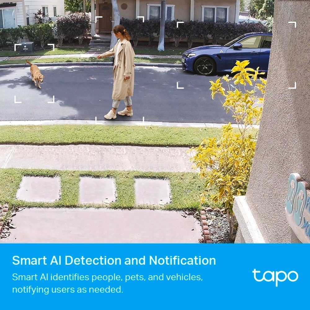 TP-Link Tapo Security Kamerasystem Smart IP Wire-Free Überwachungskamera C400S2 (Außenbereich)