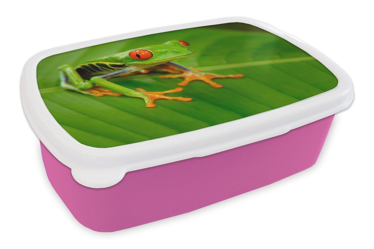 MuchoWow Lunchbox Frosch - Blatt - Grün, Kunststoff, (2-tlg), Brotbox für Erwachsene, Brotdose Kinder, Snackbox, Mädchen, Kunststoff rosa