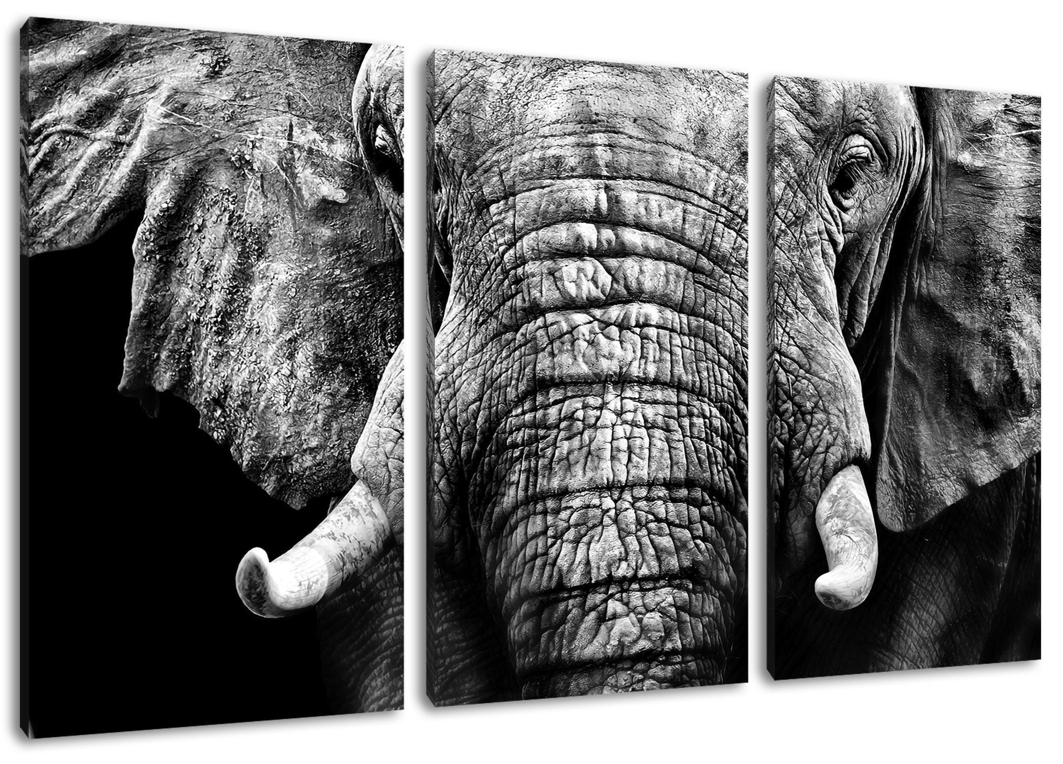 bespannt, 3Teiler (120x80cm) Pixxprint Zackenaufhänger (1 Leinwandbild Elefant Porträt, Leinwandbild Elefant fertig inkl. St), Porträt