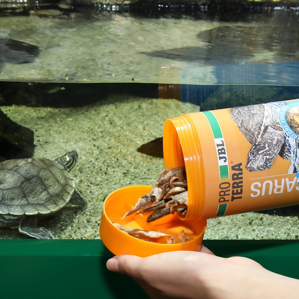 JBL GmbH & Co. KG ProTerra Pescarus, für: Reptilien