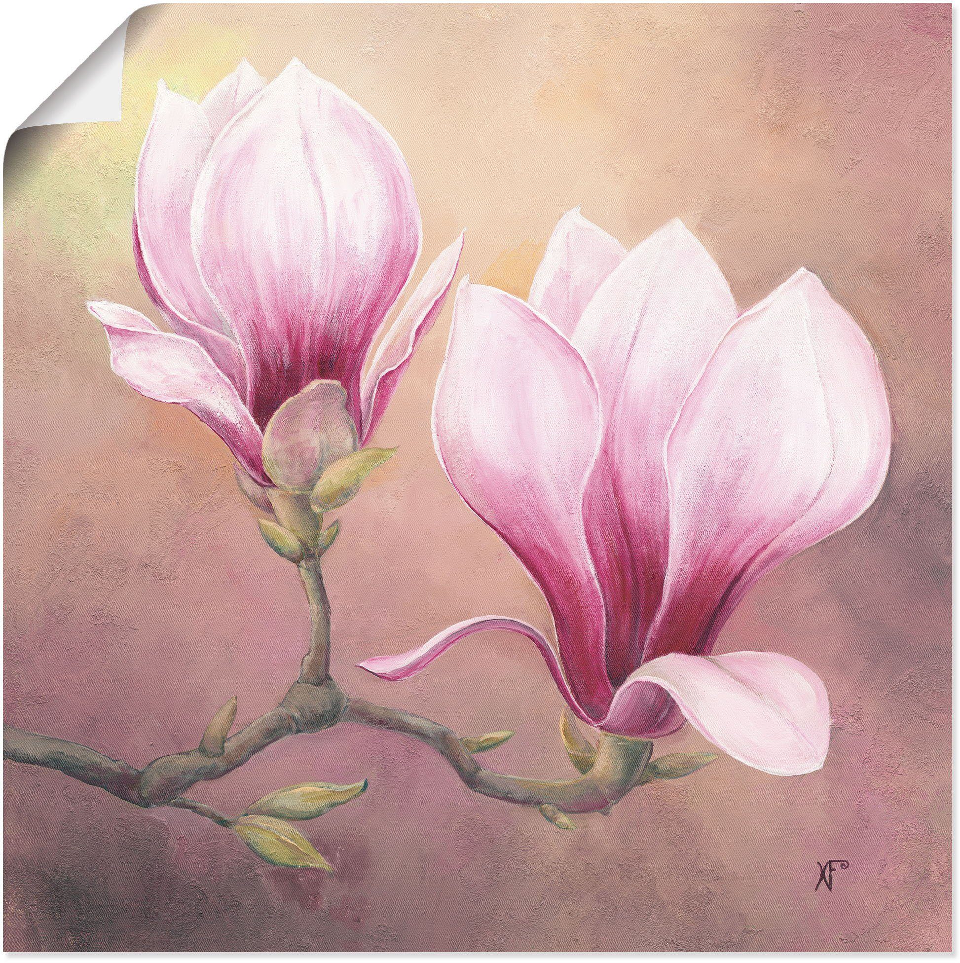 Artland Wandbild Späte Magnolie, Blumenbilder Poster als in St), Wandaufkleber oder versch. (1 Alubild, Größen Leinwandbild