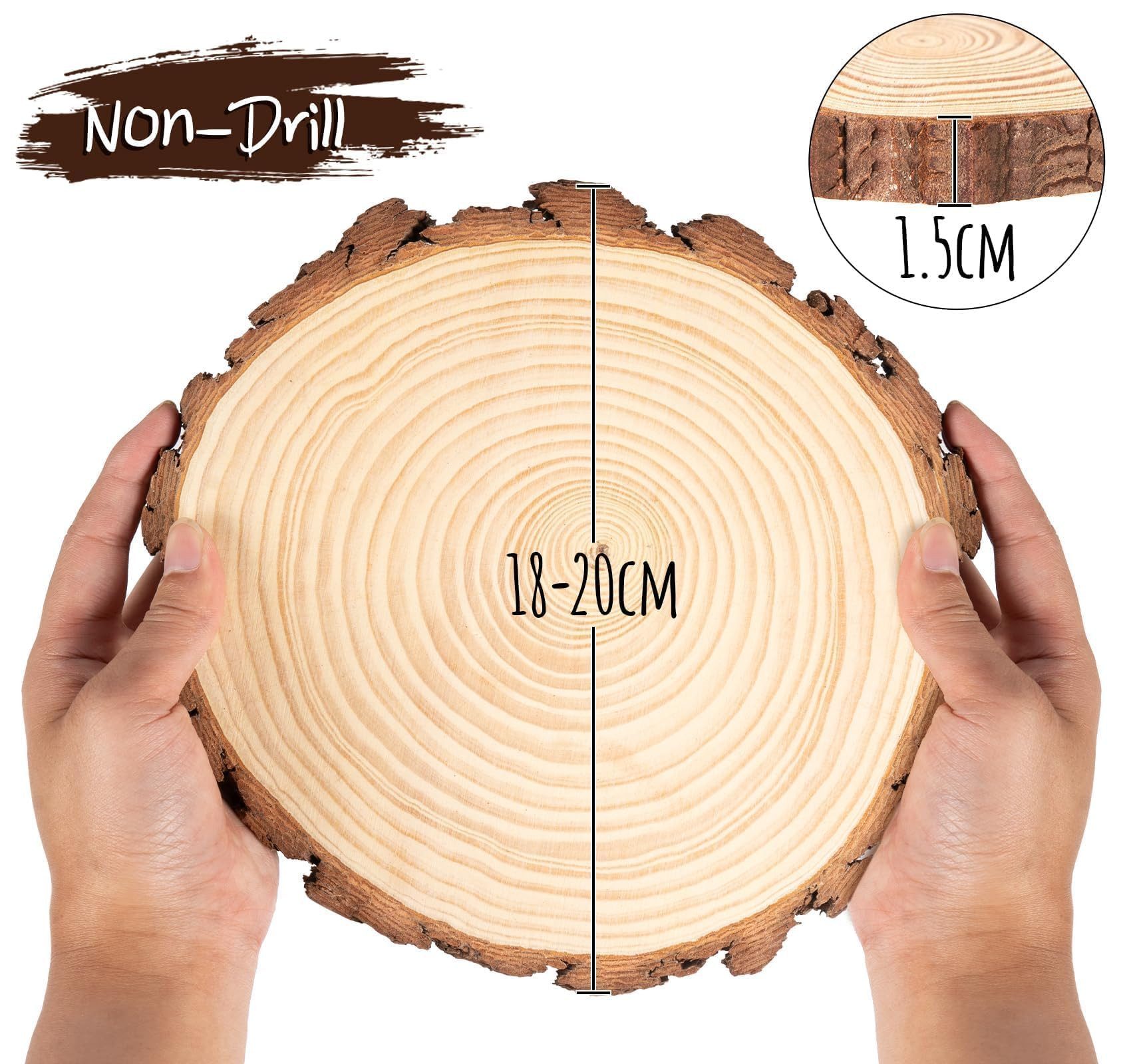 lindahandel Dekotablett Holzscheiben 18-20cm unbehandelt – Kiefernholz rund für DIY (6 St), Baumscheibe ohne Loch für DIY, Deko & Hochzeit – 15mm stark