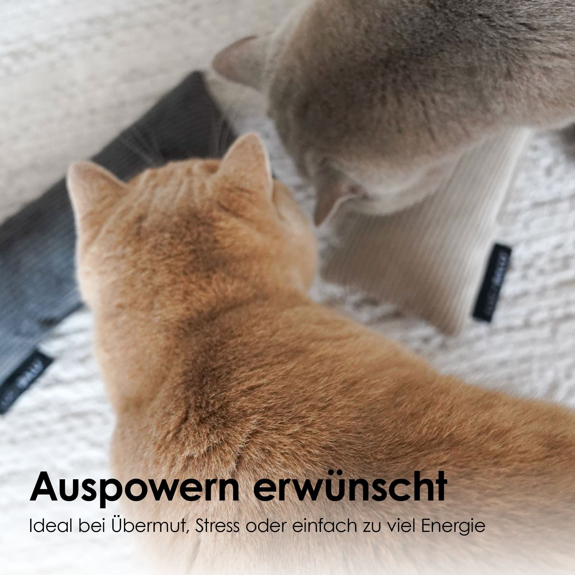 LucyBalu Tierkuscheltier »KICK BUNNY Katzenkissen mit Catnip / Katzenminze aus Cord & Wolle«