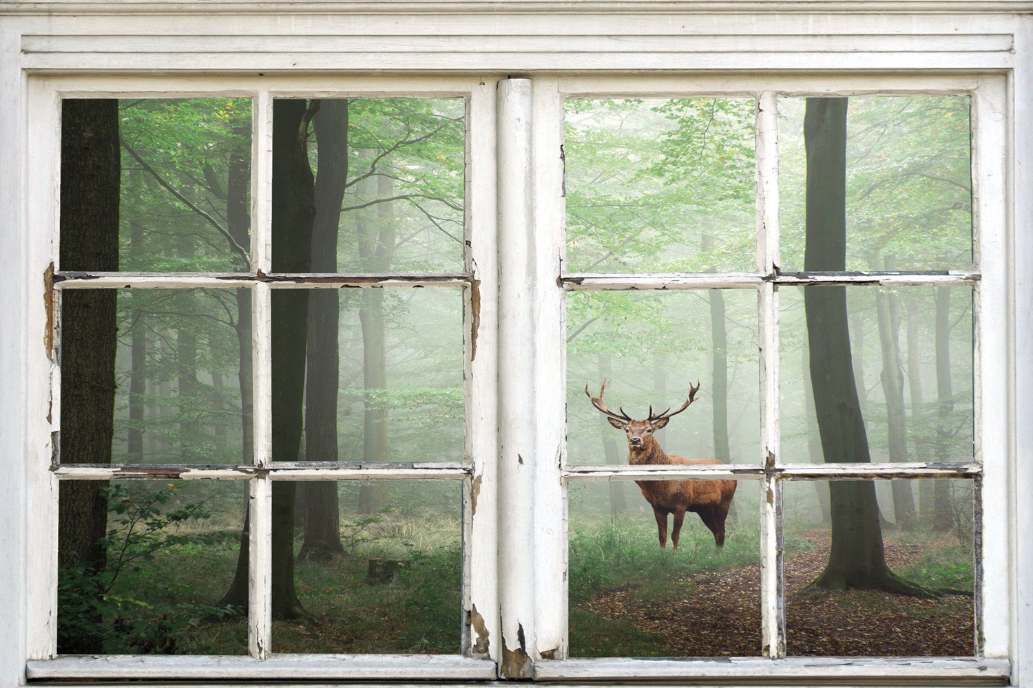 queence Leinwandbild Wald, Bäume, Fensterblick, Hirsch, Hirschbilder, Landschaft, Natur, Tiere, Wald, Waldbilder (1 St), Premium-Leinwandstoff