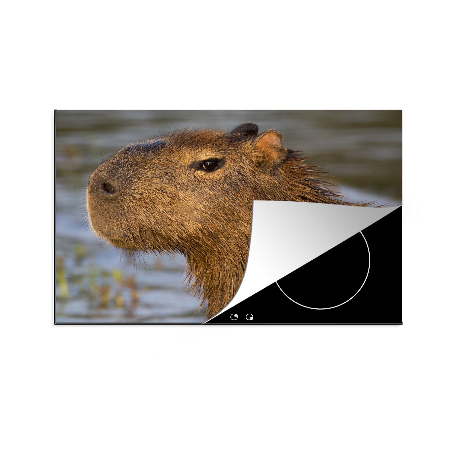 MuchoWow Herdblende-/Abdeckplatte Eine Nahaufnahme des Kopfes eines Capybaras, Vinyl, (1 tlg), 81x52 cm, Induktionskochfeld Schutz für die küche, Ceranfeldabdeckung