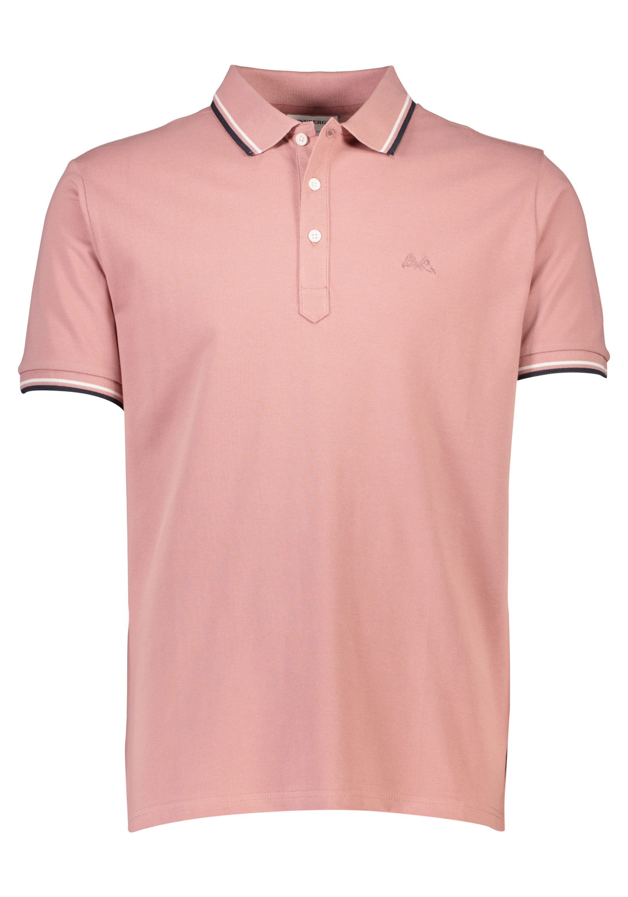 DUSTY ROSE
