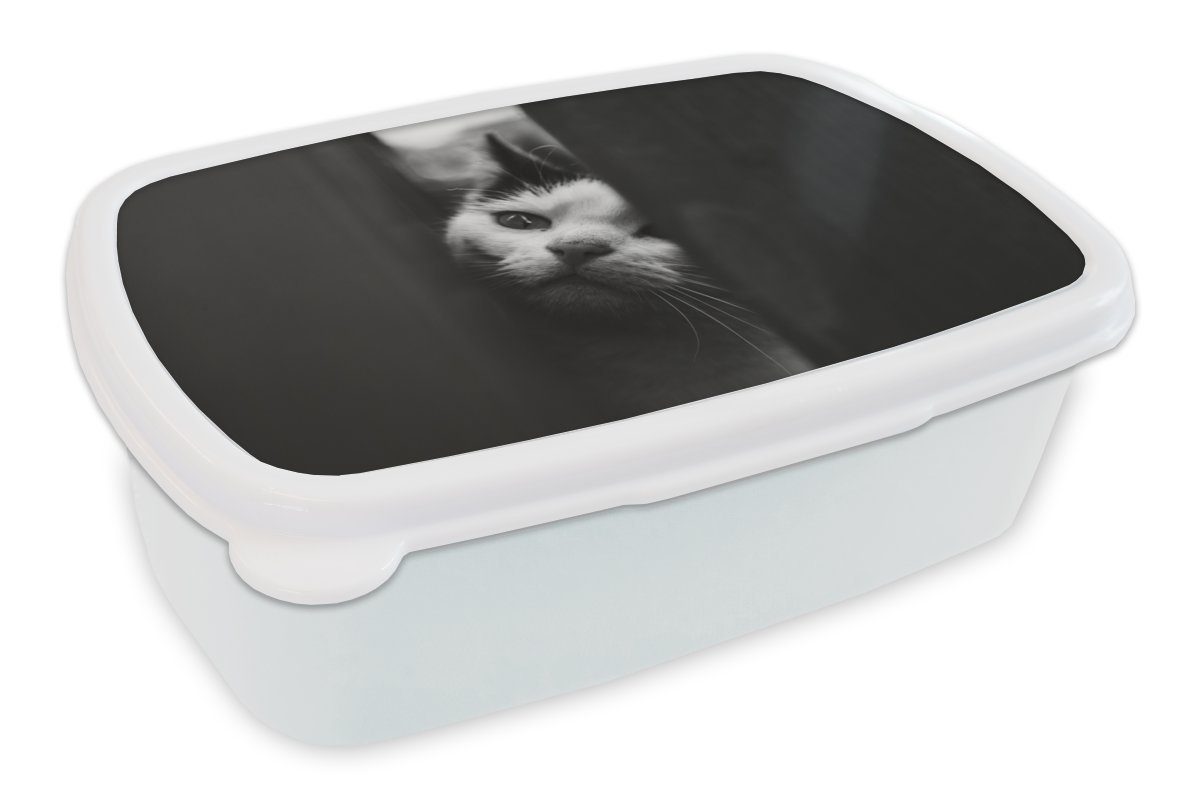 Brotbox Kunststoff, Tierprofil für MuchoWow (2-tlg), Brotdose, weiß, Katze und und Mädchen Lunchbox für Spionage Erwachsene, Kinder Jungs in und schwarz