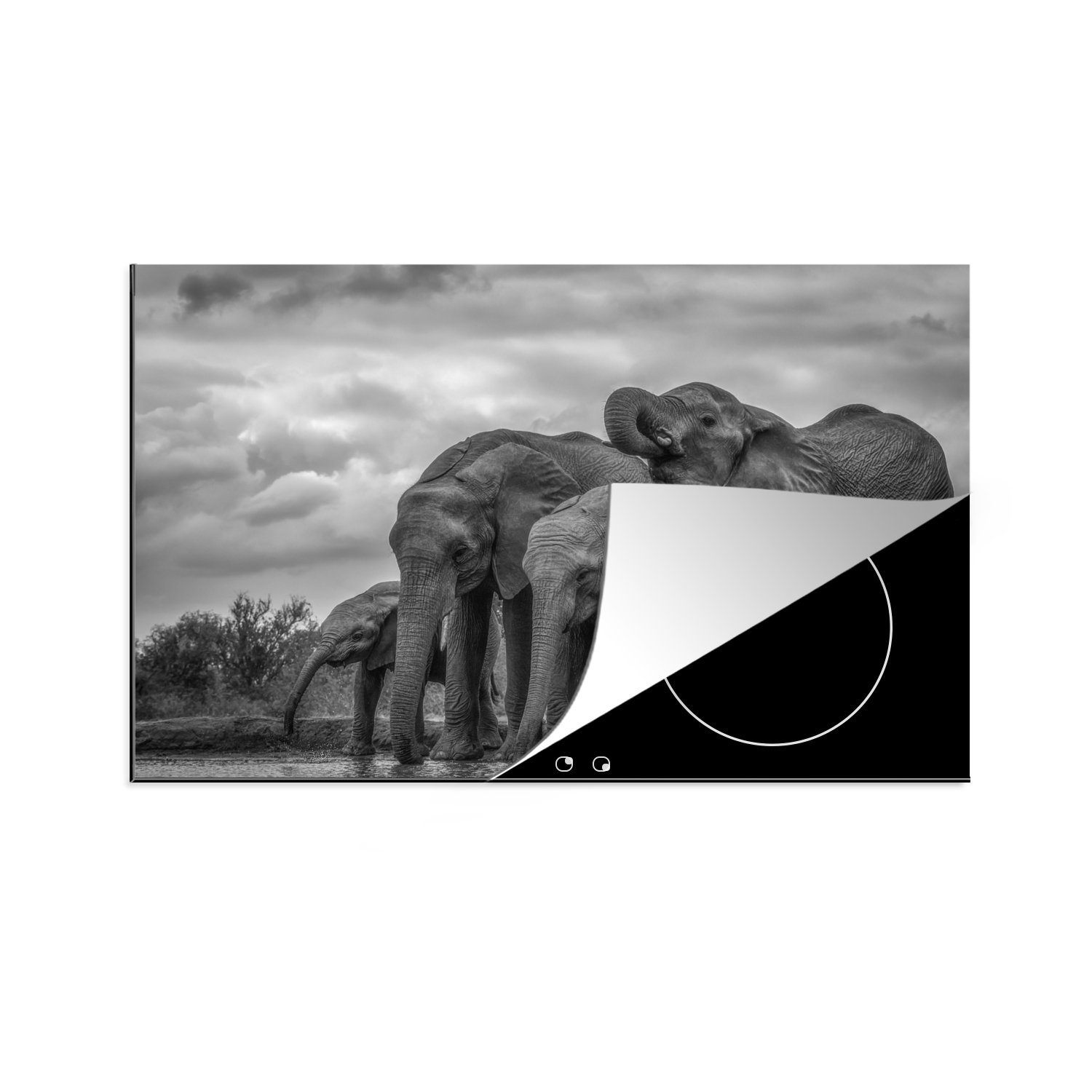 MuchoWow Herdblende-/Abdeckplatte Elefant - Tiere - Wasser - Schwarz und weiß, Vinyl, (1 tlg), 81x52 cm, Induktionskochfeld Schutz für die küche, Ceranfeldabdeckung