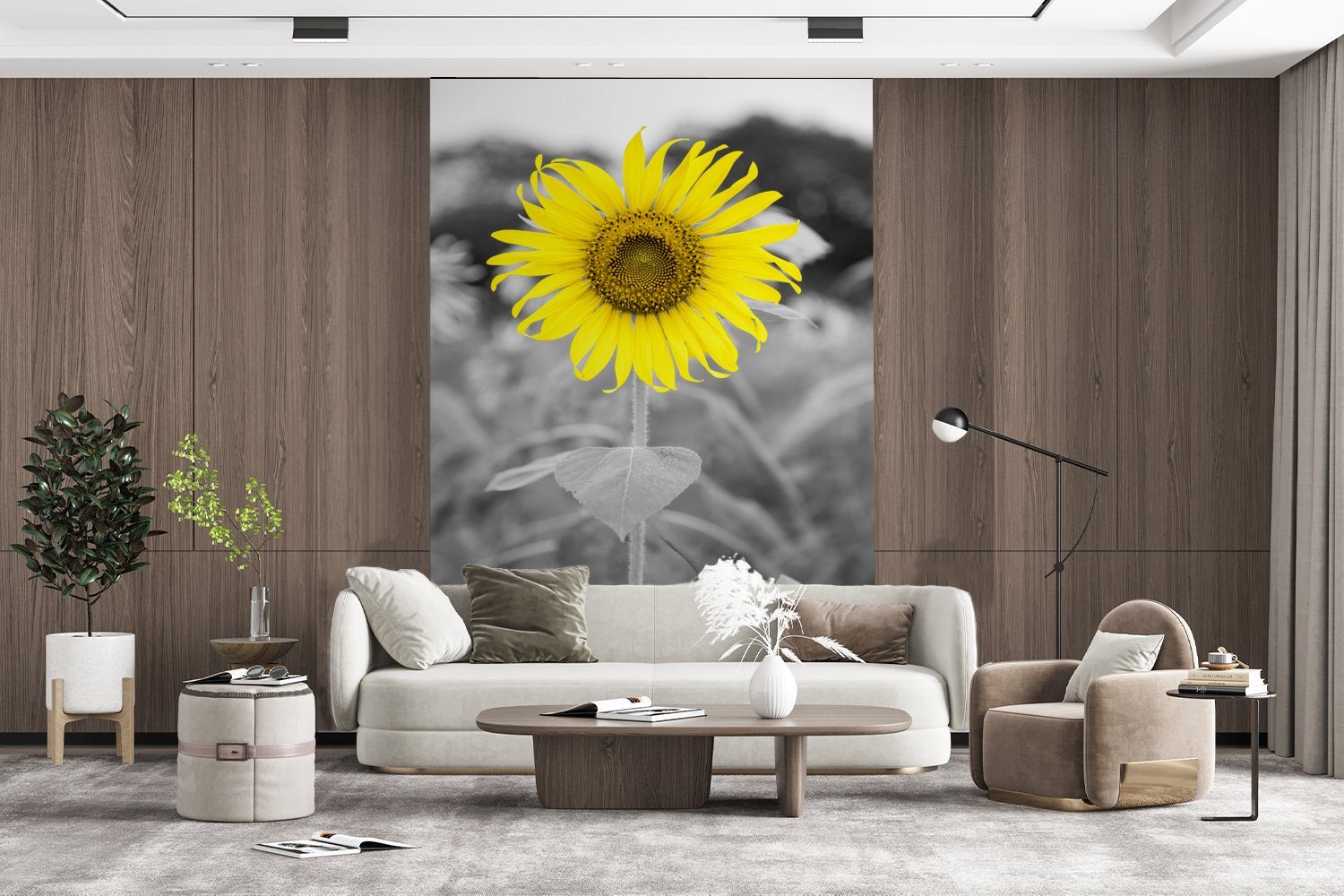 - Matt, Weiß, (3 St), Gelb - Wandtapete Vinyl für - bedruckt, - Schwarz MuchoWow Tapete Wohnzimmer, Blumen Montagefertig Sonnenblume Fototapete