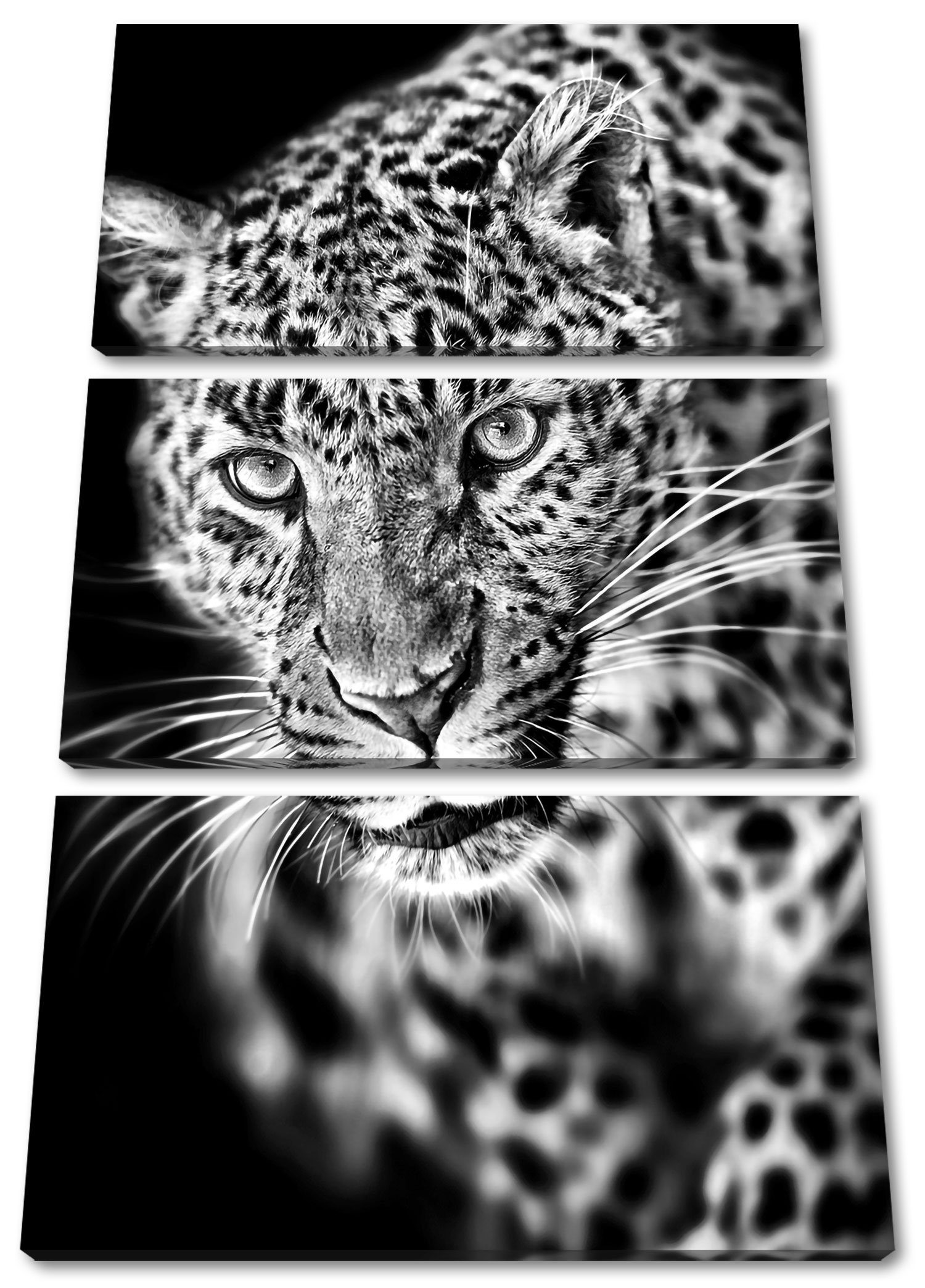 3Teiler bespannt, fertig Leopard, Pixxprint Zackenaufhänger Leinwandbild St), Leinwandbild Anmutiger inkl. (1 Anmutiger (120x80cm) Leopard