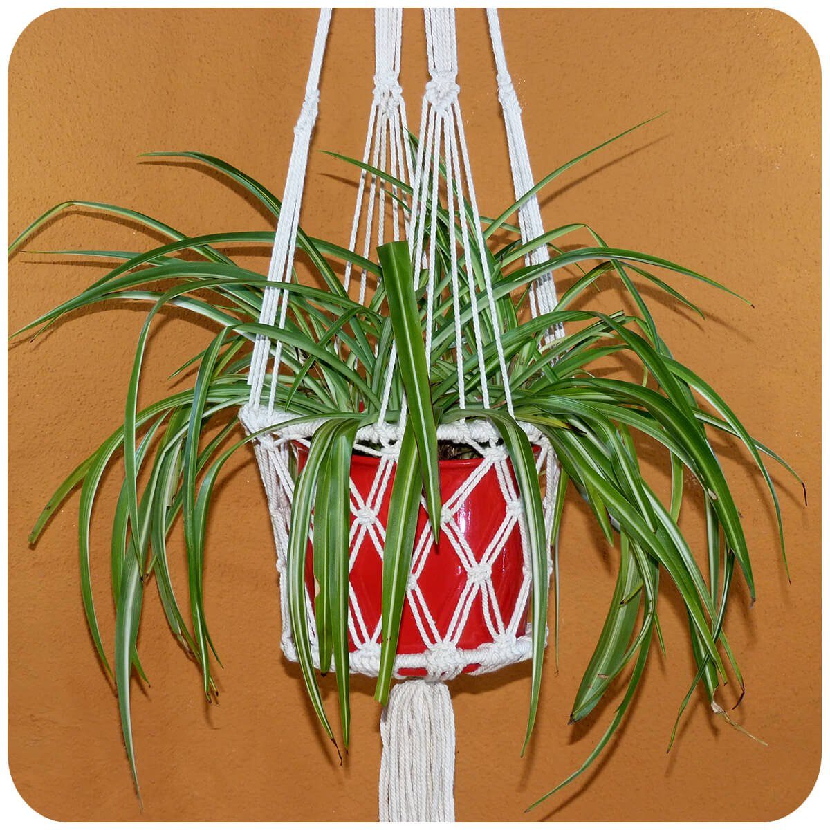 SIMANDRA Hängedekoration Blumenampel Makramee günstig online kaufen