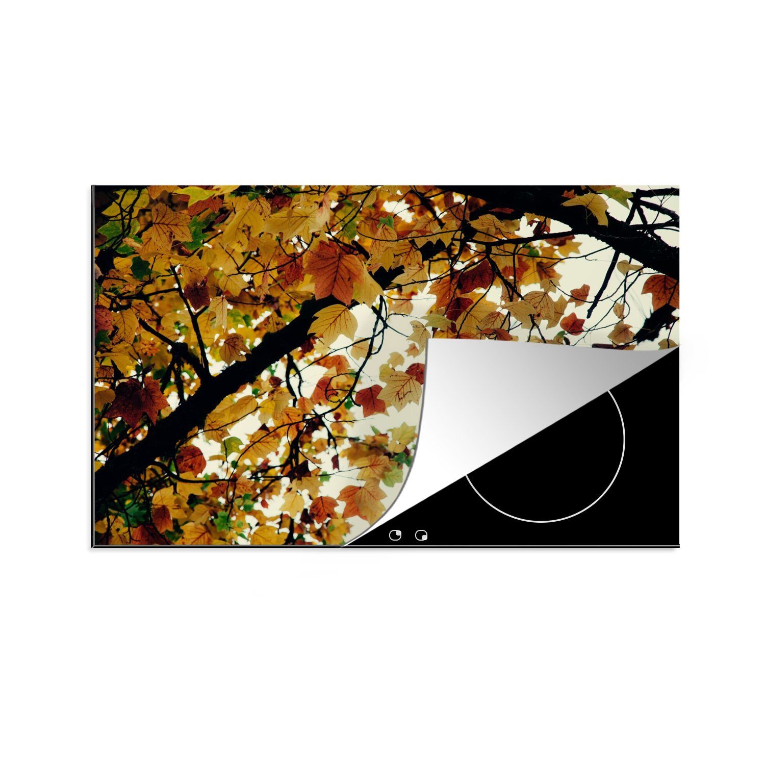 - die cm, Vinyl, (1 - Bäume küche, 80x52 Natur, für tlg), Schutz Herdblende-/Abdeckplatte Ceranfeldabdeckung Herbstblätter Induktionskochfeld MuchoWow