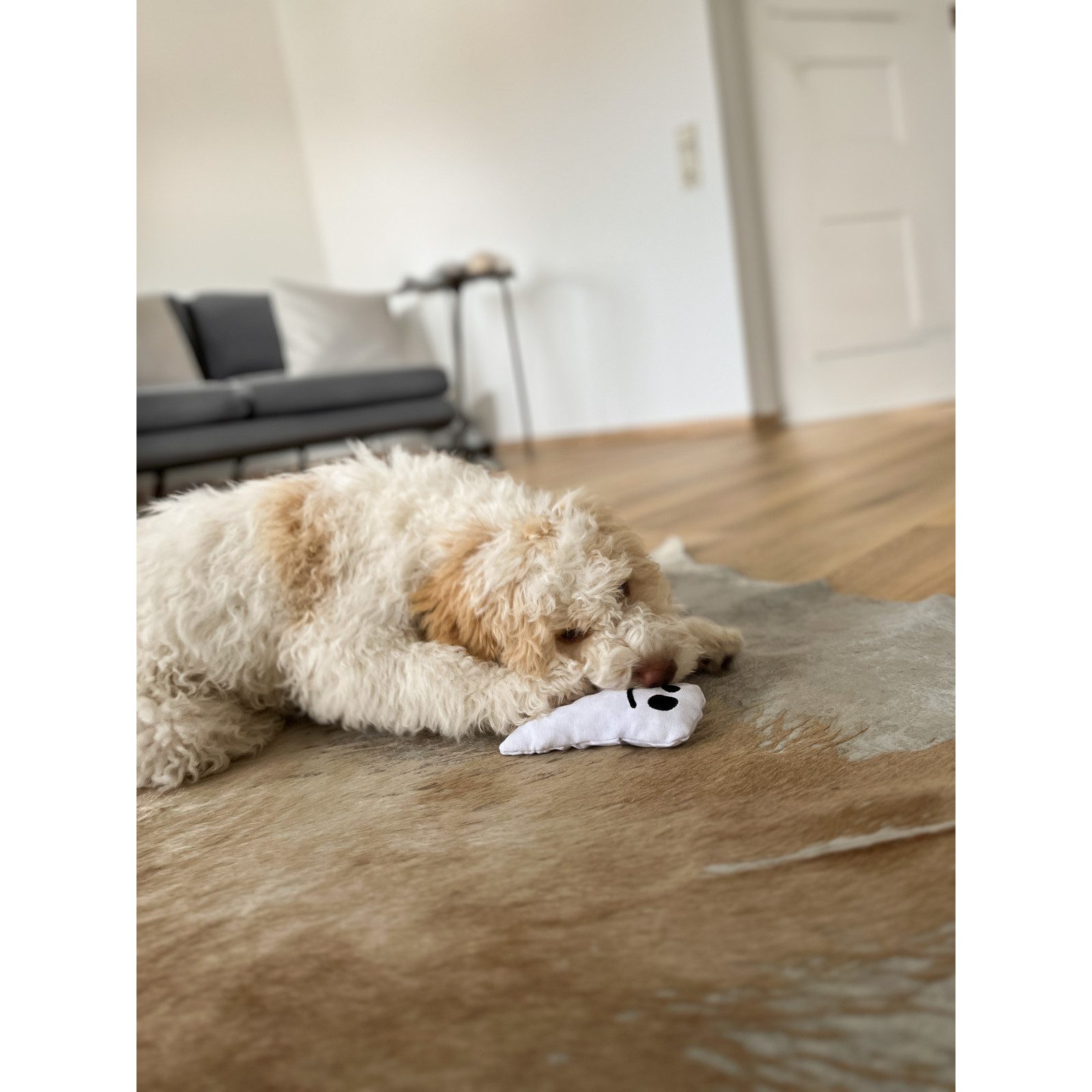 Aumüller Tierquietschie Hundespielzeug Geist, weiß, mit dezentem Quietscher
