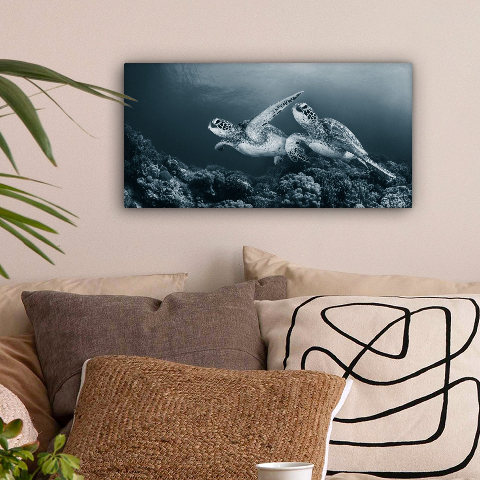 OneMillionCanvasses® Leinwandbild Panorama Schildkröte - Meerestiere günstig online kaufen