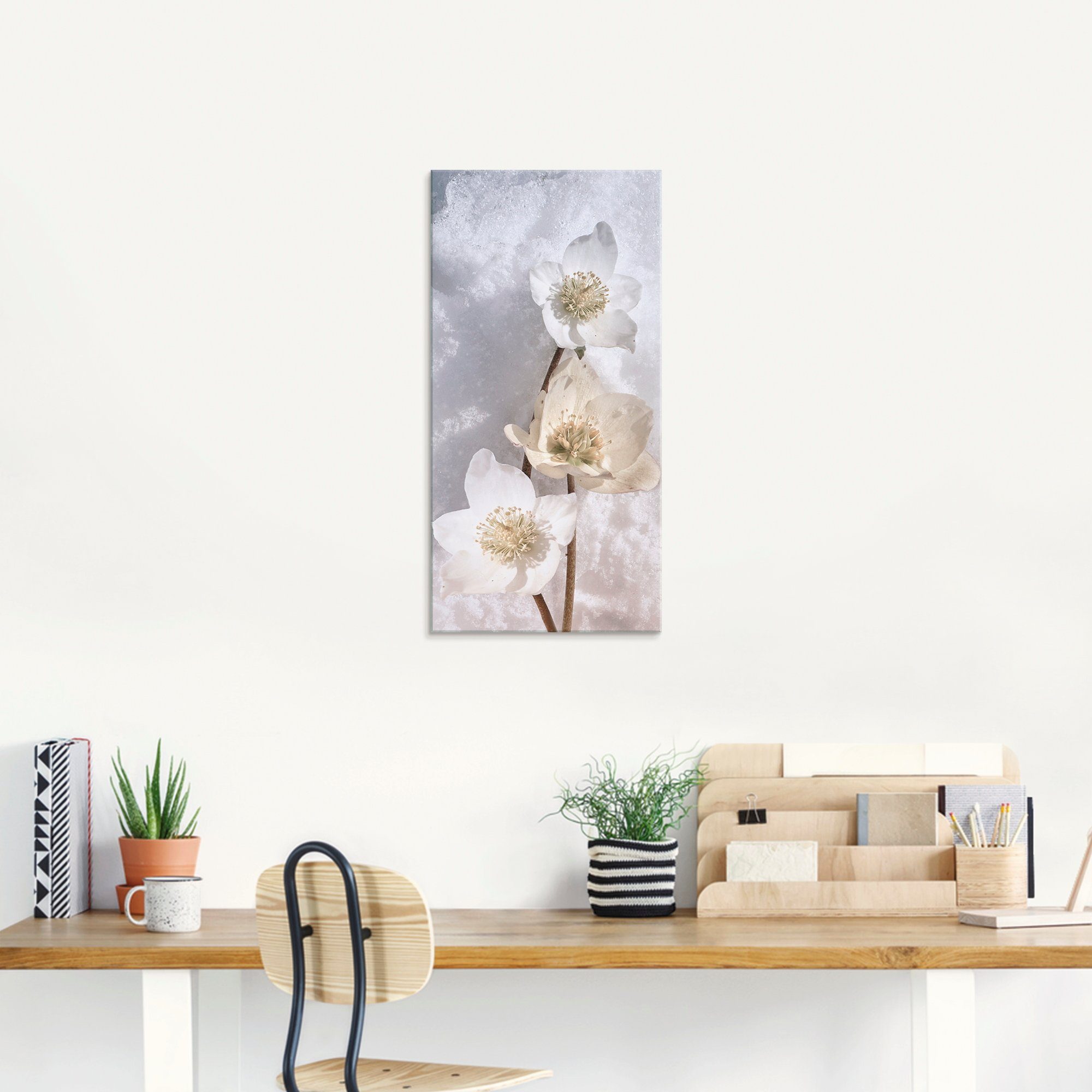 Artland Glasbild »Christrose im Schnee«, Blumen (1 Stück)-kaufen