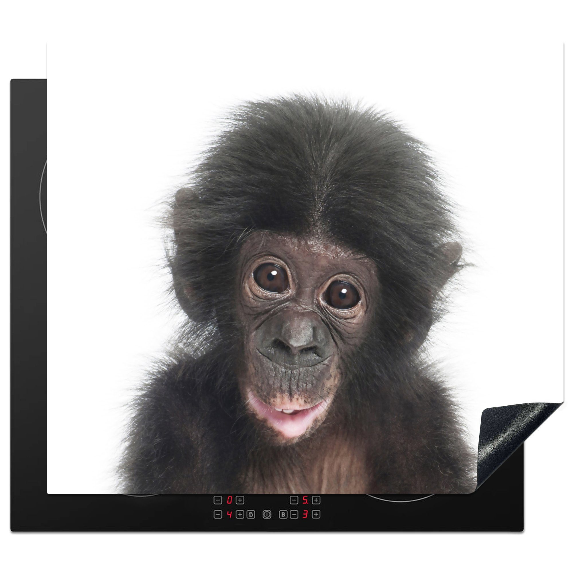 MuchoWow Herdblende-/Abdeckplatte Affe - Tiere - Natur - Schimpanse, Vinyl, (1 tlg), 60x52 cm, Mobile Arbeitsfläche nutzbar, Ceranfeldabdeckung