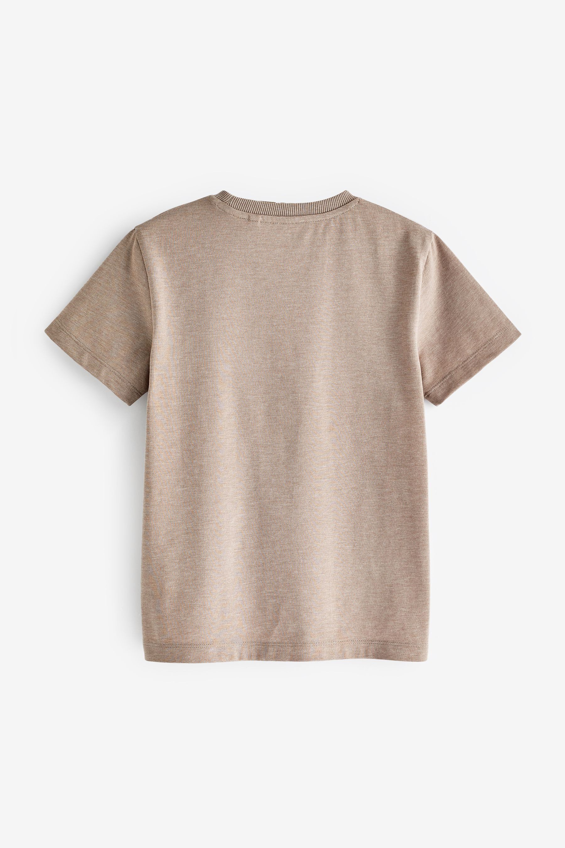 Next T-Shirt Regular Fit Kurzarm-T-Shirt (1-tlg)