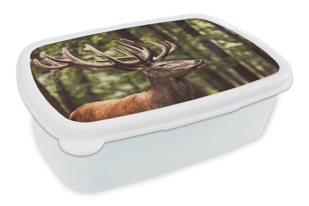 MuchoWow Lunchbox Kinder und im Mädchen Wald, Brotdose, und Hirsche Erwachsene, für Kunststoff, weiß Brotbox Jungs für (2-tlg)