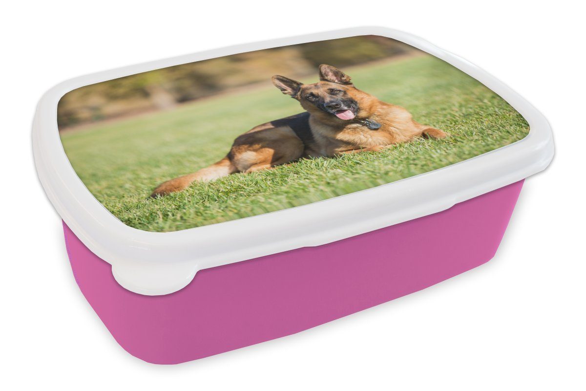 MuchoWow Lunchbox Deutscher Schäferhund im Gras liegend, Kunststoff, (2-tlg), Brotbox für Erwachsene, Brotdose Kinder, Snackbox, Mädchen, Kunststoff rosa